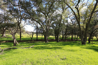 Ranches and Farms 3295