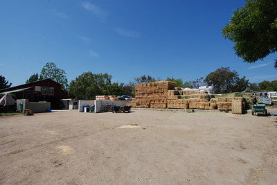 Ranches and Farms 3237