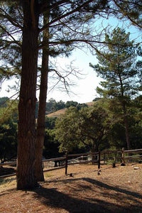 Ranches and Farms 3179