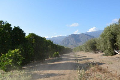 Mediterranean-Houses 0062 (Ojai)