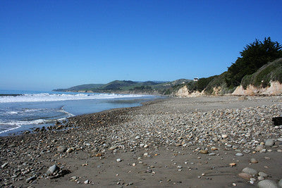 Beaches 8050