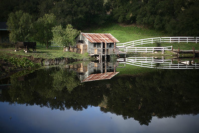 Ranches and Farms 3129