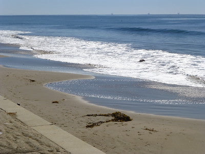 Beaches 9937