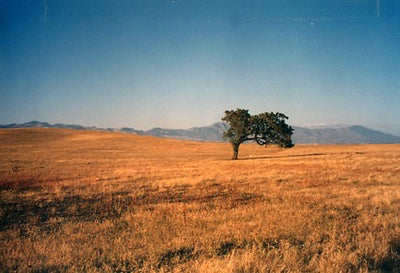 Ranches and Farms 3301