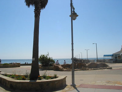 Beaches 8003
