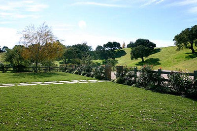 Americana-Midwest-1597 (Los Olivos)
