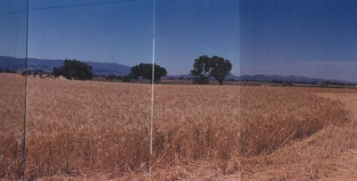 Ranches and Farms 3239