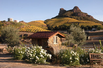 Ranches and Farms 3129