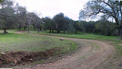 Ranches and Farms 3301