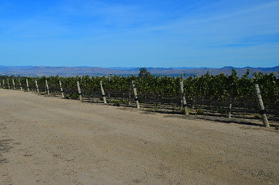 Vineyards & Wineries 1098 (Santa Maria) Roads