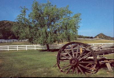 Ranches and Farms 3129