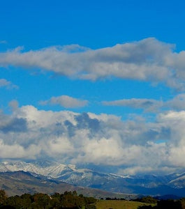 Ranches and Farms 3179