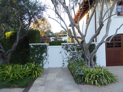 Beach Properties 4881