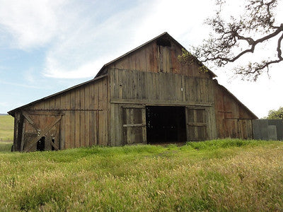 Barns 3120 (Santa Ynez)
