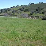 Ranches and Farms 3135