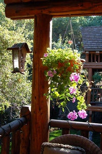 Ranches and Farms 3179