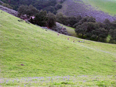 Ranches and Farms 3173