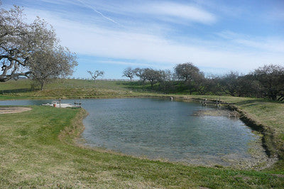 Vineyards Wineries 2235