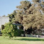 Ranches and Farms 3006