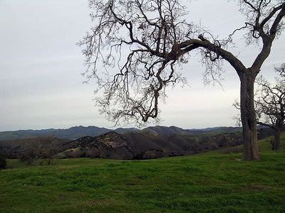 Ranches and Farms 3173