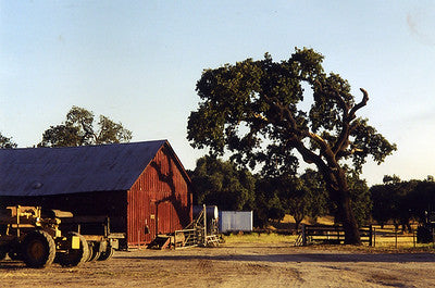 Ranches and Farms 3173