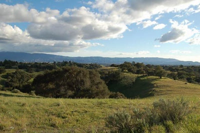 Ranches and Farms 3179