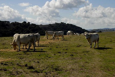 Ranches and Farms 3140