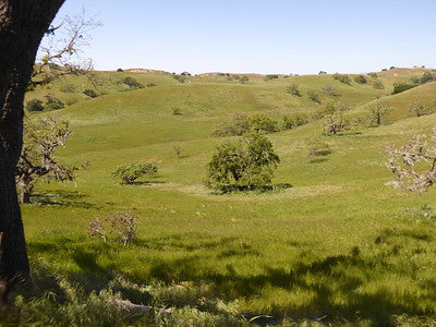 Ranches and Farms 3048