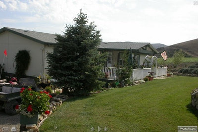 Ranches and Farms 3217
