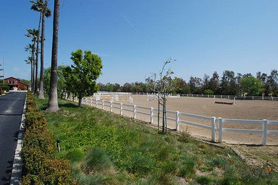 Ranches and Farms 3237