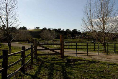 Americana-Midwest-1597 (Los Olivos)