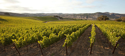 Wineries 3835