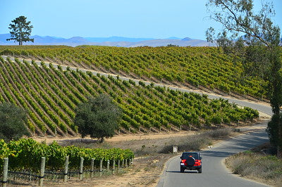 Vineyards & Wineries 1098 (Santa Maria) Roads