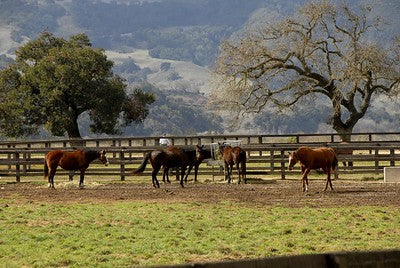 Ranches and Farms 3241