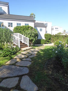 Beach Properties 0393