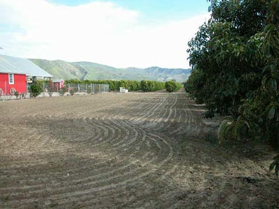 Ranches and Farms 3235
