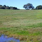 Ranches and Farms 3135