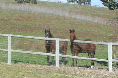 Ranches and Farms 2235