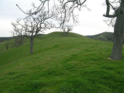 Ranches and Farms 3173