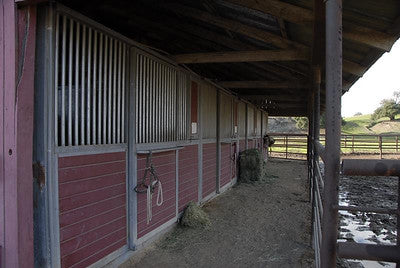Barns 3498 (Los Olivos)