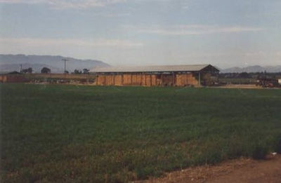 Ranches and Farms 3239