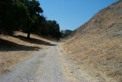 Ranches and Farms 3125