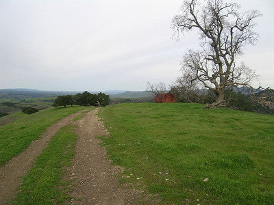 Ranches and Farms 3173