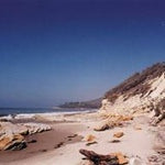 Beaches 8200
