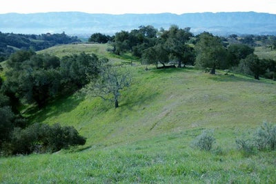 Ranches and Farms 3179