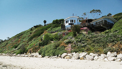 Beach Properties 1100
