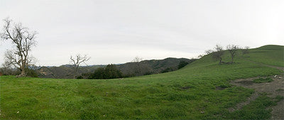 Ranches and Farms 3173
