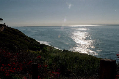 Beach Properties 1005