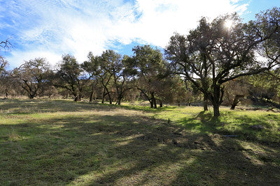 Ranches and Farms 3295