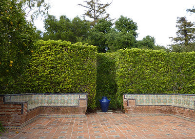 Estates 1082